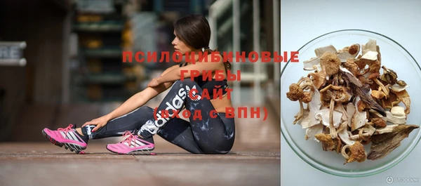 МДПВ Коряжма