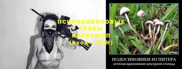 гидропоника Козловка