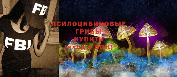 МДПВ Кодинск