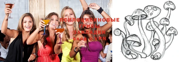 МДПВ Кодинск